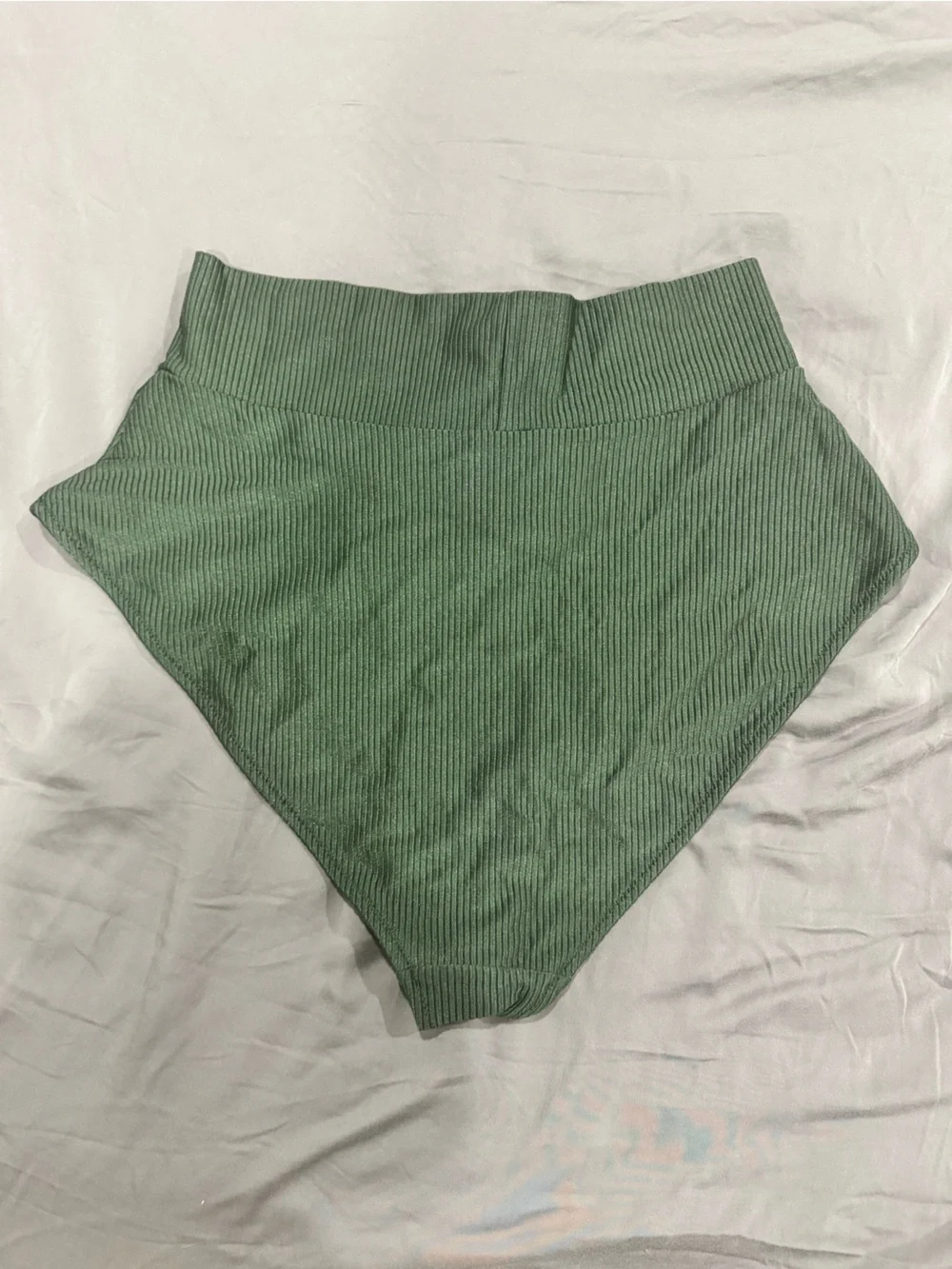 aerie Ribbed Dark Green High-waisted High-leg Bikini Bottoms - Picture 2 of 3